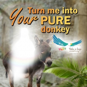 Turn me into Your PURE donkey